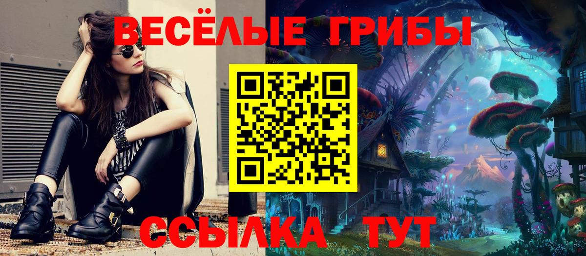 Псилоцибиновые грибы Psilocybe Большой Камень