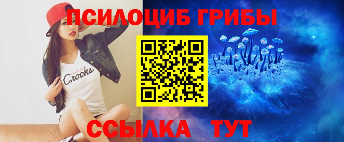 Большой Камень  Галлюциногенные грибы Psilocybe  Вход с VPN 